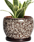 SQOWL Ceramic Plant Pots by SQOWL