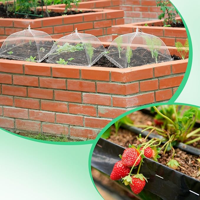 6 Sets Strawberry Plant Supports - Image 5