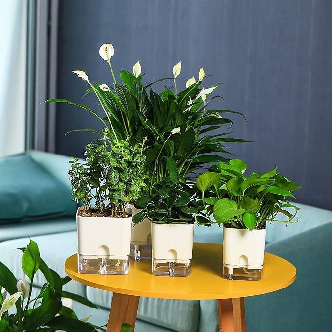 Planterhoma Self Watering Plant Pots - Image 9