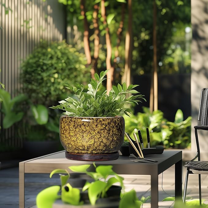 SQOWL 10 Inch Plant Pot - Image 5