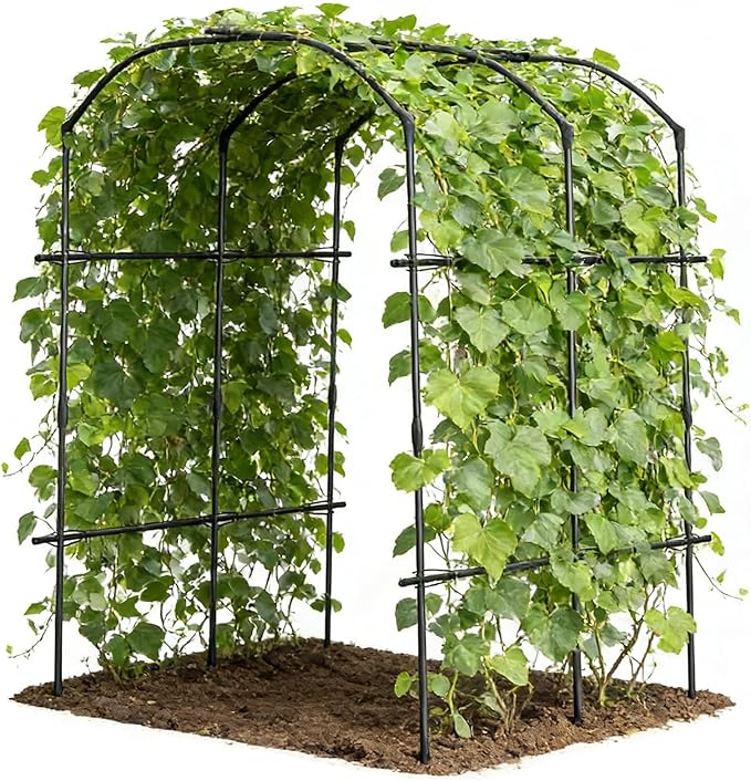 DoCred Tall Garden Arch Trellis by DoCred