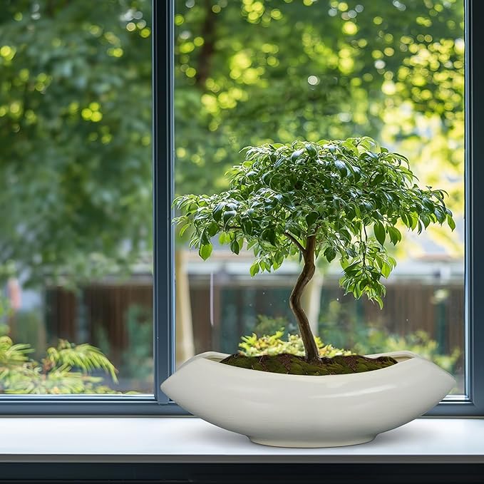 Bonsai Pots 18 Inch - Image 8