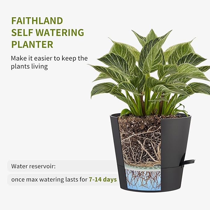 FaithLand 2-Pack 10 Inch Planter Pots - Image 3