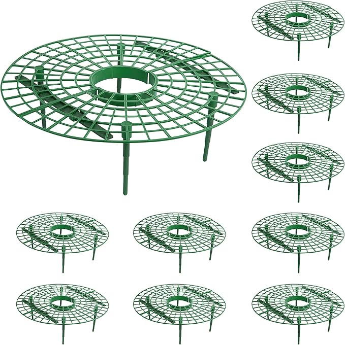 Iceyyyy 10 Pack Strawberry Plant Support by Iceyyyy