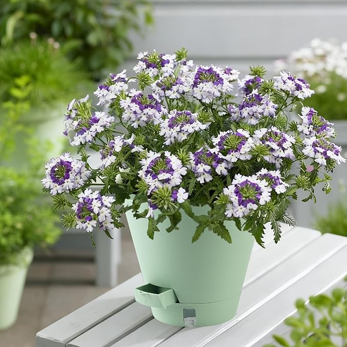 Self-Watering-Pots-for-Indoor-Plants, 8 Inch Flower Pots - Image 7
