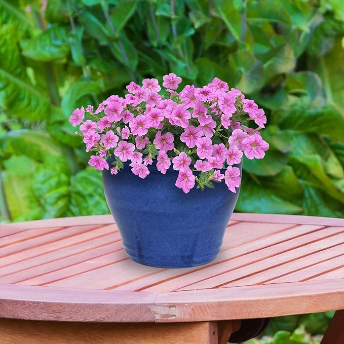 Sunnydaze Large Ceramic Plant Pot - Image 8