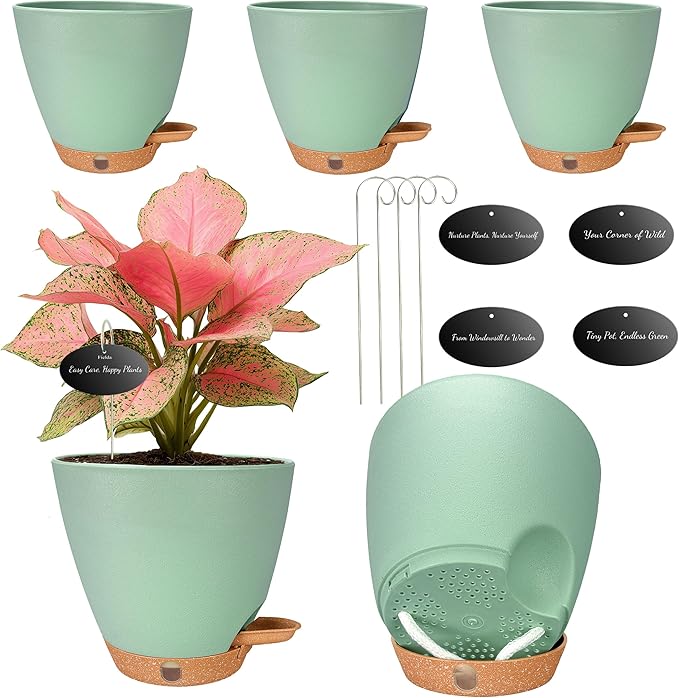 6 Inch Self Watering Pots for Indoor Plants – Small Plastic Planters by Fielda
