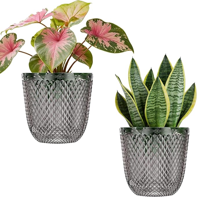 QCQHDU 2 Pack Self Watering Pots, 5.7 Inch Flower Pots by QCQHDU