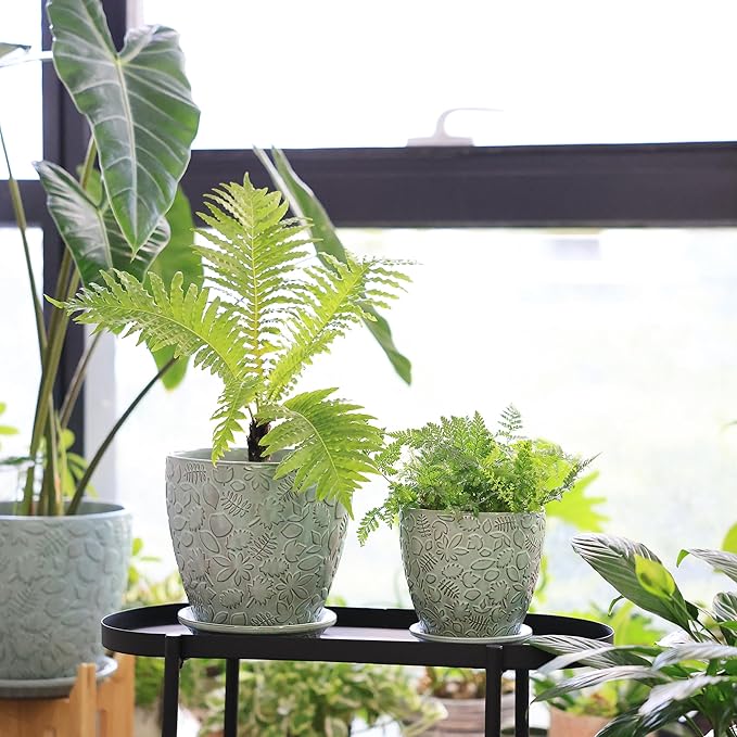 8 Inch + 6 Inch Plant Pots for Indoor Plants, Ceramic Planter - Image 7