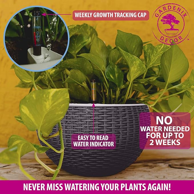 GARDENIX DECOR 11'' Self Watering Hanging planters - Image 5