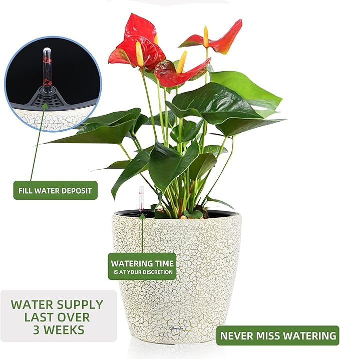 Dexceder 18x17 Self Watering Planter - Image 5