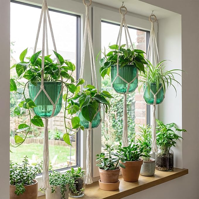 6 Pack Self Watering Hanging Planters Indoor Flower Pots Visible Water Level - Image 4