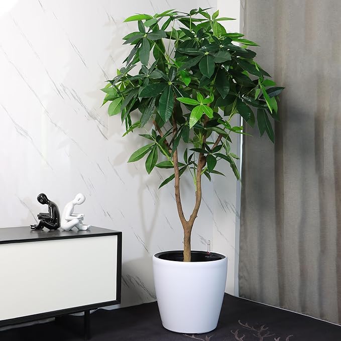 Dexceder 15x14 Self Watering Planter - Image 6