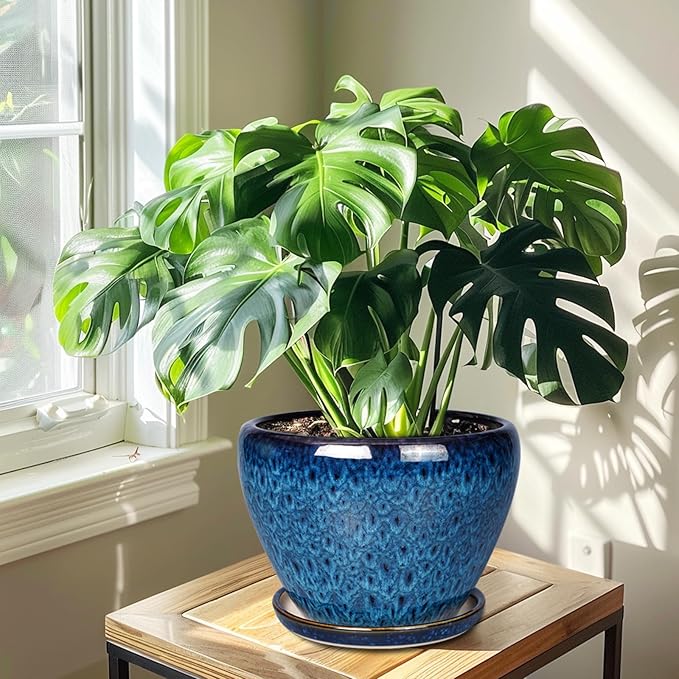 10 Inch Ceramic Planter Pot, Ceramic Plant Pot - Image 4