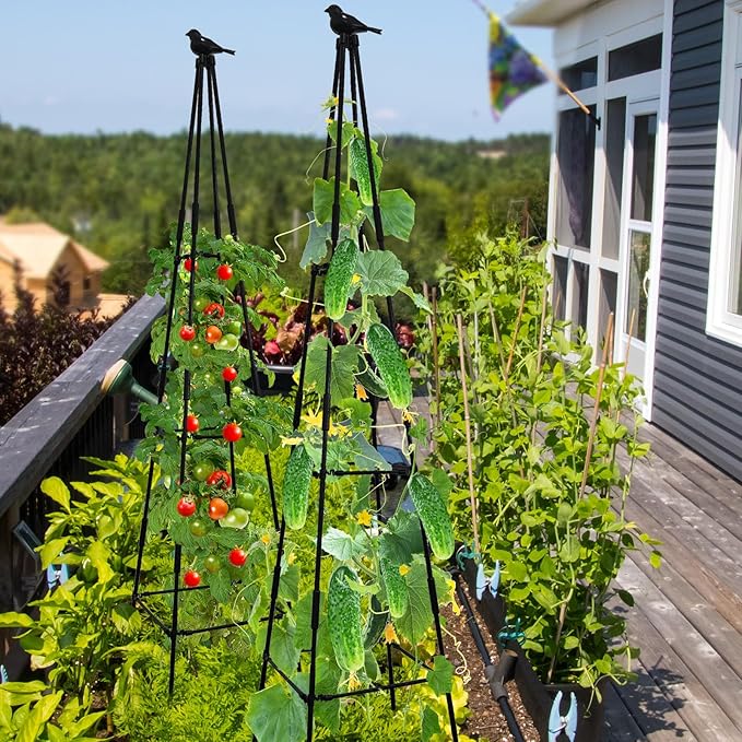 Lalahoni Garden Trellis for Climbing Plants, 67inch Tall Garden Obelisk Trellis - Image 2