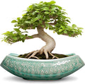 Bonsai Tree Pot by Teagas
