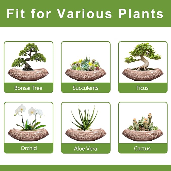 Large Bonsai Pots - Image 7