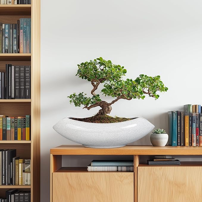 Ceramic Bonsai Tree Pot - Image 4