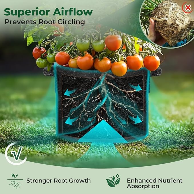 T4U 10 Gallon Grow Bags, Fabric Pots - Image 5