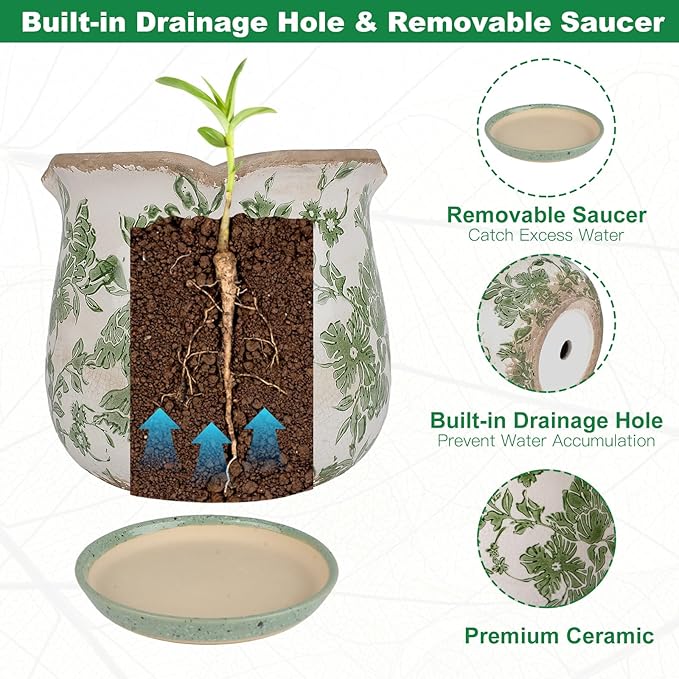 Ceramic-Planters-for-Indoor-Plants - Image 4
