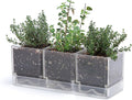 D'vine Dev Herb Garden Planter Set, Plastic Plant Pots by DvineDevPlanterPotsandStand