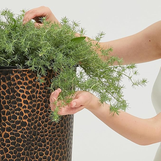 Worth 2 Pack 28" Tall Narrow Metal Planter - Image 4
