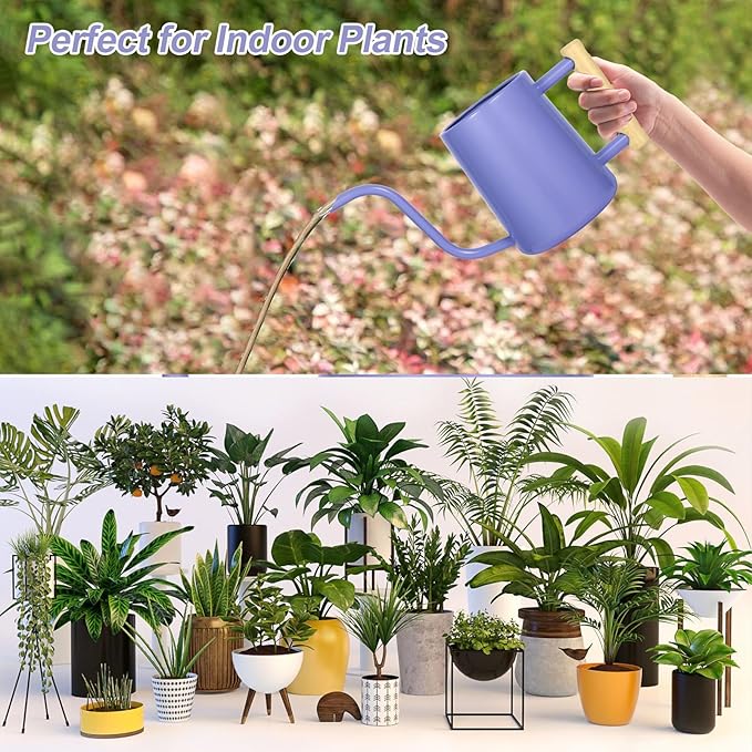 Watering Can Indoor Plants, 35 oz/1000 ml Metal Stainless Steel Watering Can Pot - Image 7