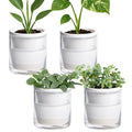 D'vine Dev 4 Inch Design Self Watering Planter by DvineDevPlanterPotsandStand