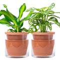 D'vine Dev 6 Inch Design Self Watering Pot by DvineDevPlanterPotsandStand