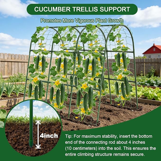 U-Shape Cucumber Trellis for Raised Bed - Image 4