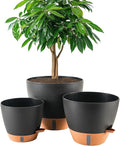8/10/12 Inch Self Watering Pots by Fielda