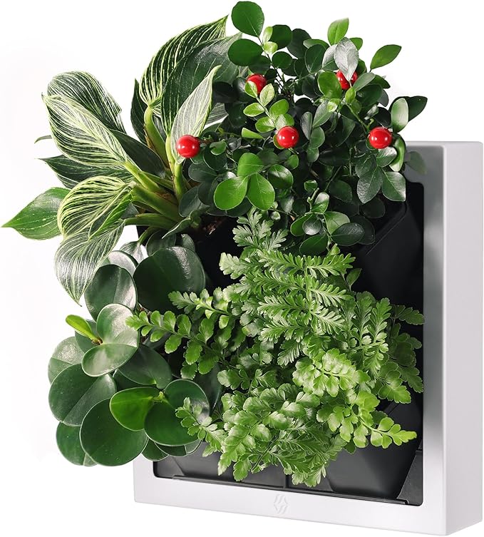 Wall-Mounted Vertical Garden Planter – Ready-to-Use Indoor Wall Planter by Unknown