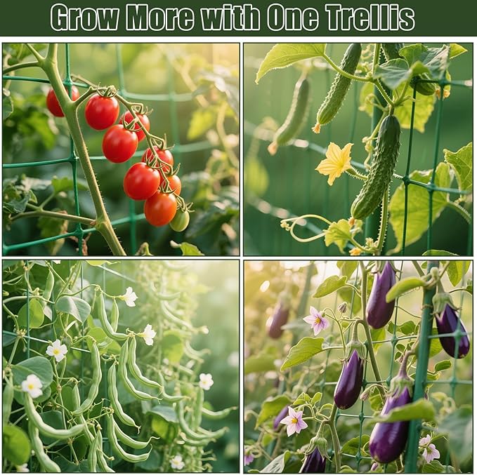 Miory Cucumber Trellis for Raised Beds, 48 x 63 Inch Metal U-Frame Garden - Image 8