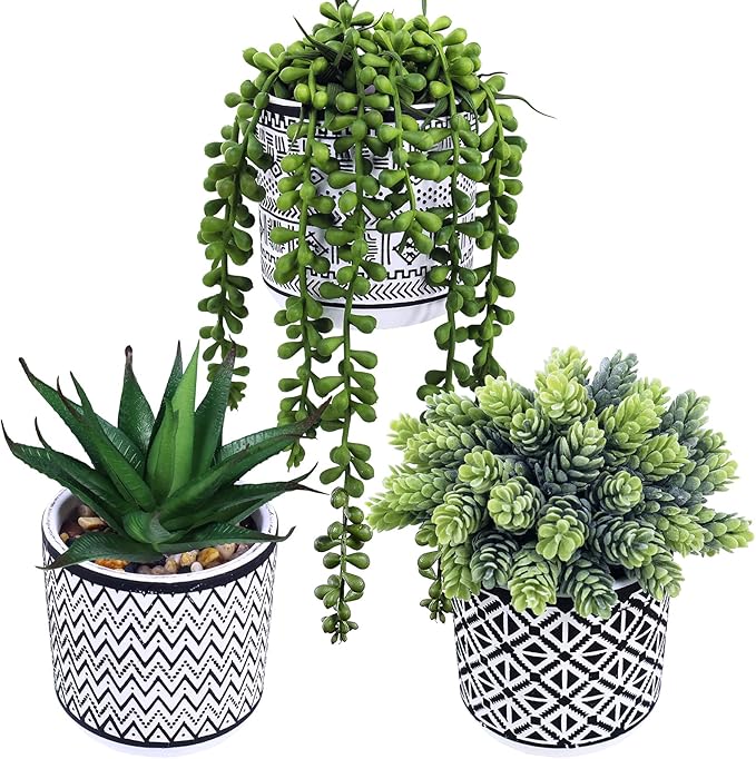Winlyn 3 Pcs Small Potted Succulents Plants Artificial String of Pearls Aloe by Winlyn