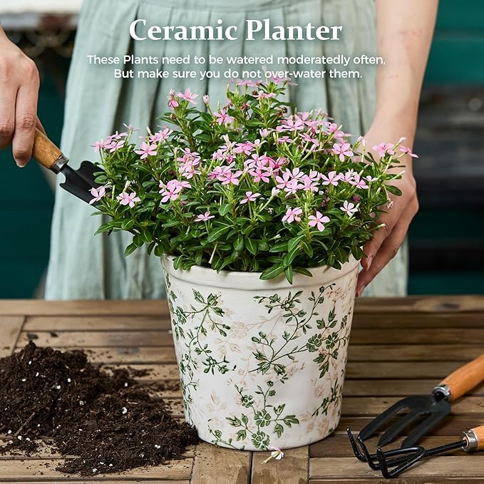 Ceramic Planter Without Drainage Hole, 6.7 Inch - Image 2