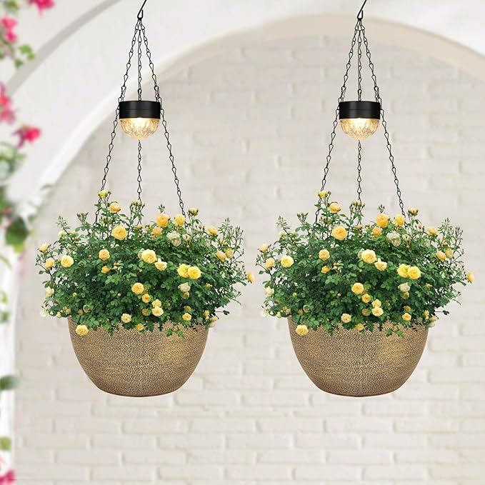 2 Packs Hanging Planters Basket by SUNNYPARK
