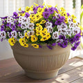 36 Pcs Artificial Fake Pansy Flowers by RowfadFlora