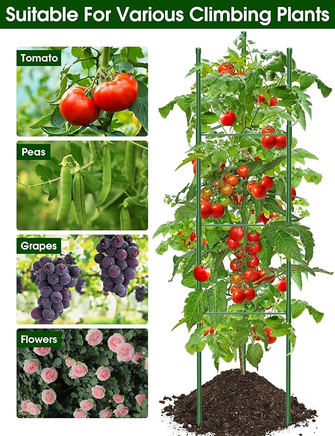 Tomato Cage, Raised Garden Bed Plant Support Stakes - Image 5