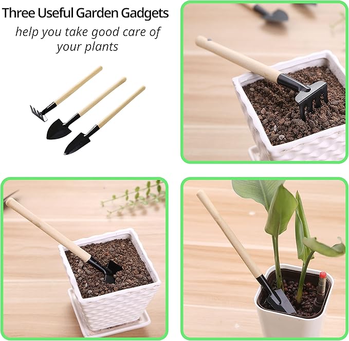13 Pack Plant Saucer, 8 10 12 Inch Durable Plastic Plant Trays - Image 5