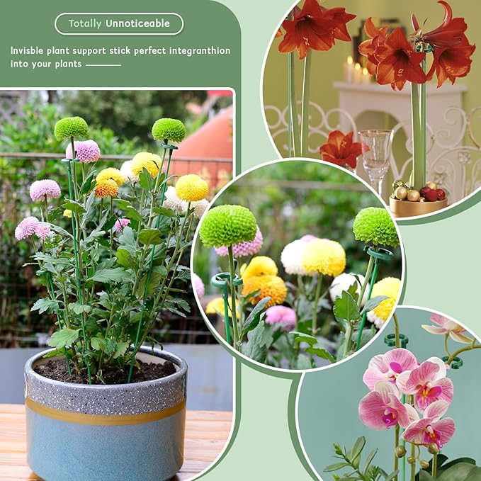 Invisible Plant Sticks 17 inch &11 inch SupKing 16Pcs Orchid Stakes - Image 6