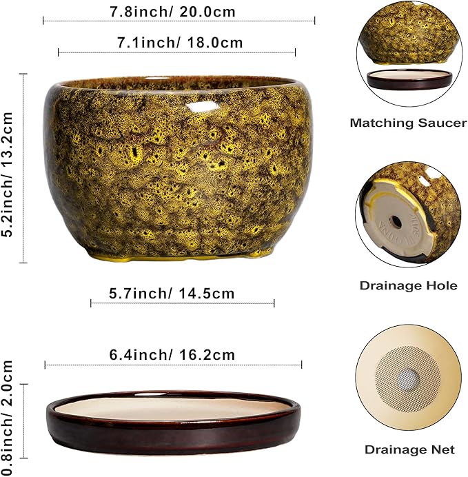 SQOWL Ceramic Flower Pots - Image 3