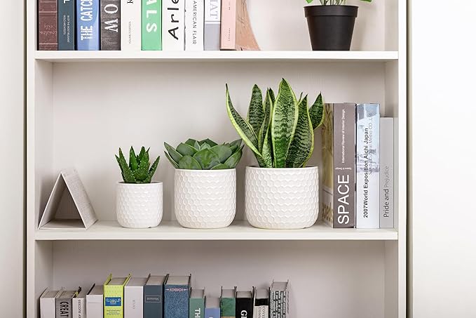 Docrin Plant Pots Indoor with Drainage: 6.4+5.3+4 Inch Ceramic Flower Pots - Image 6