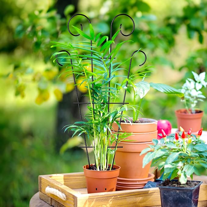 4 Pack 32'' Indoor Plant Trellis - Image 7