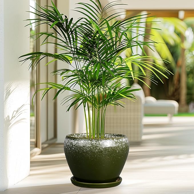 8 Inch Plant Pot - Image 4