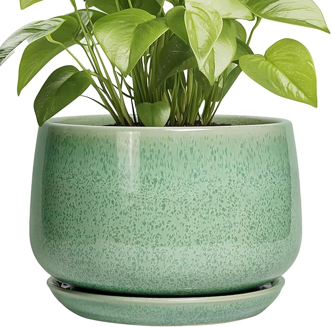 G EPGardening Ceramic Planter by GEPGardening