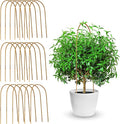 Coloch 20 Pack Bamboo U Trellis Support, 16 Inch U Loop Plant Stake Arch Garden by Coloch