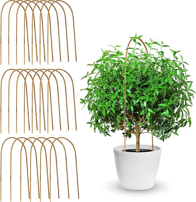 Coloch 20 Pack Bamboo U Trellis Support, 16 Inch U Loop Plant Stake Arch Garden by Coloch