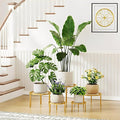 5 Pack Metal Plant Stand Home Flower Stand Shelf by Unknown