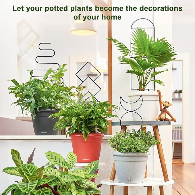 Indoor Plant Trellis for Climbing Plants, 16inch Small Garden Metal Trellis for - Image 6