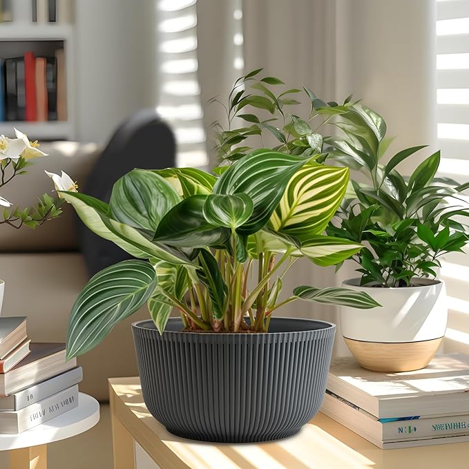 T4U 12 Inch Large Self Watering Plant Pots, Wide Self Watering Planter - Image 6
